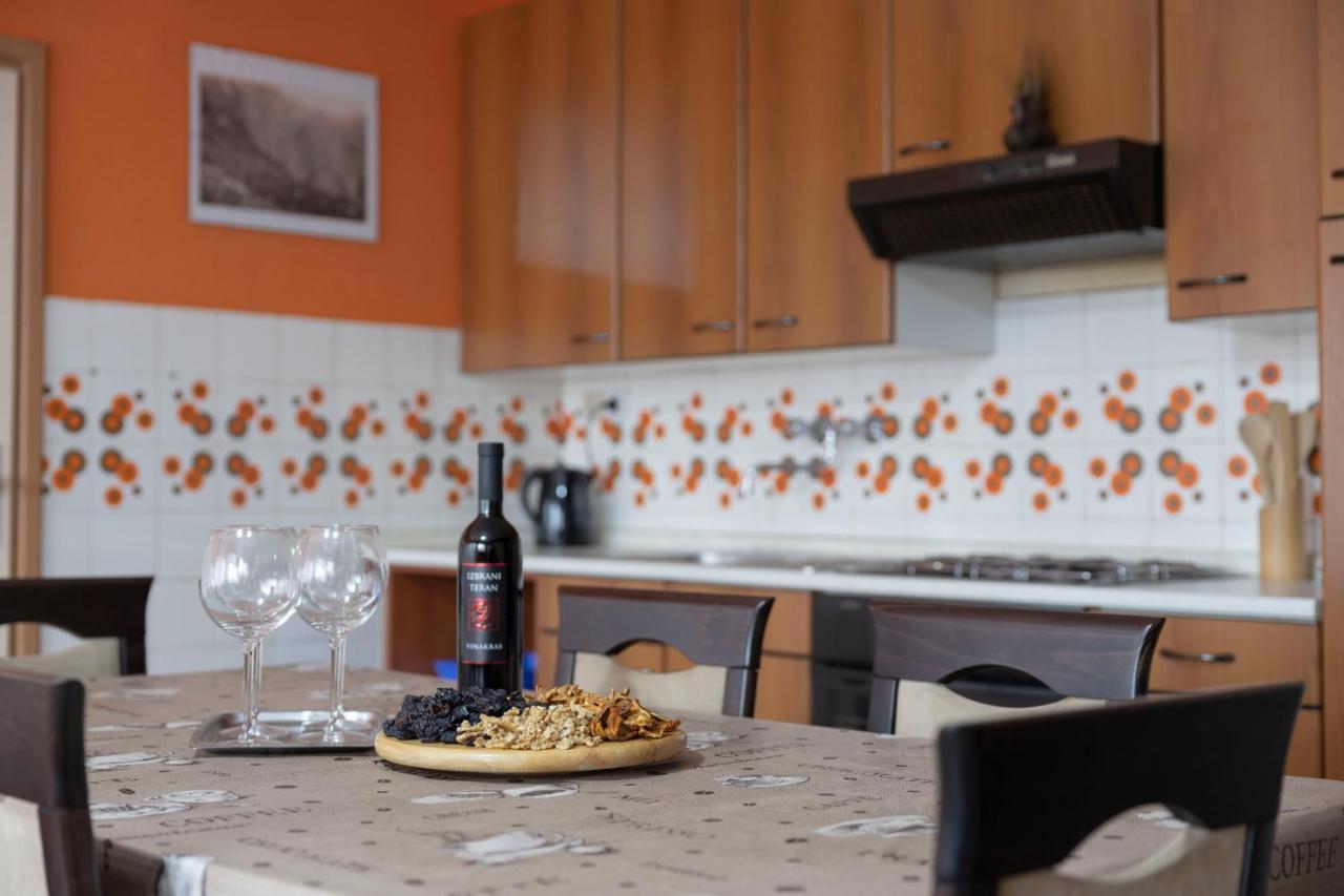 Apartment Gaja Tolmin Zewnętrze zdjęcie
